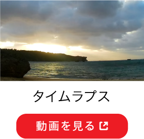 タイムラプス 動画を見る
