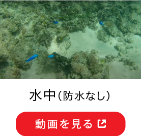水中（防水なし） 動画を見る