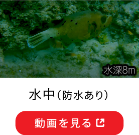 水中（防水あり） 動画を見る