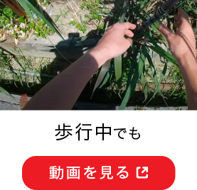 歩行中でも 動画を見る