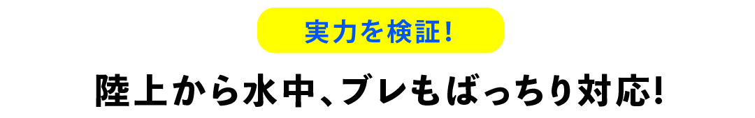 実力を検証！陸上から水中、ブレもばっちり対応!